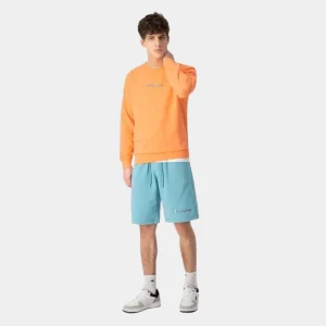 Champion Translucent Script Logo Elasticated Shorts