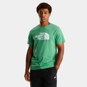 Camiseta The North Face Estándar Half Dome Evolution Para Hombre