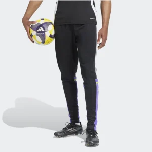 adidas Pantalon Largo Hombre Sq25 Tr Pnt