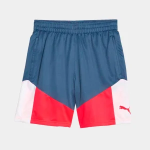 Puma Individualcup Shorts