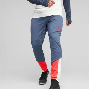 Puma Individualcup Traini