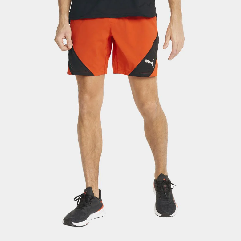 Puma Train - Imagen 2