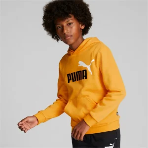 Puma Essential+ 2 Col Big Logo