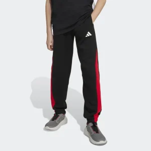 adidas Pantalón Seasonal Essentials Colorblock (adolescentes)