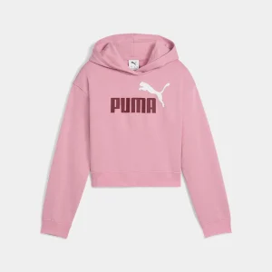 Sudadera Con Capucha Puma Ess 2 Logo