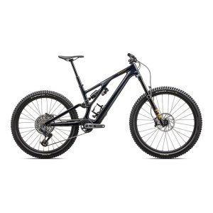 Stumpjumper EVO Expert T-Type