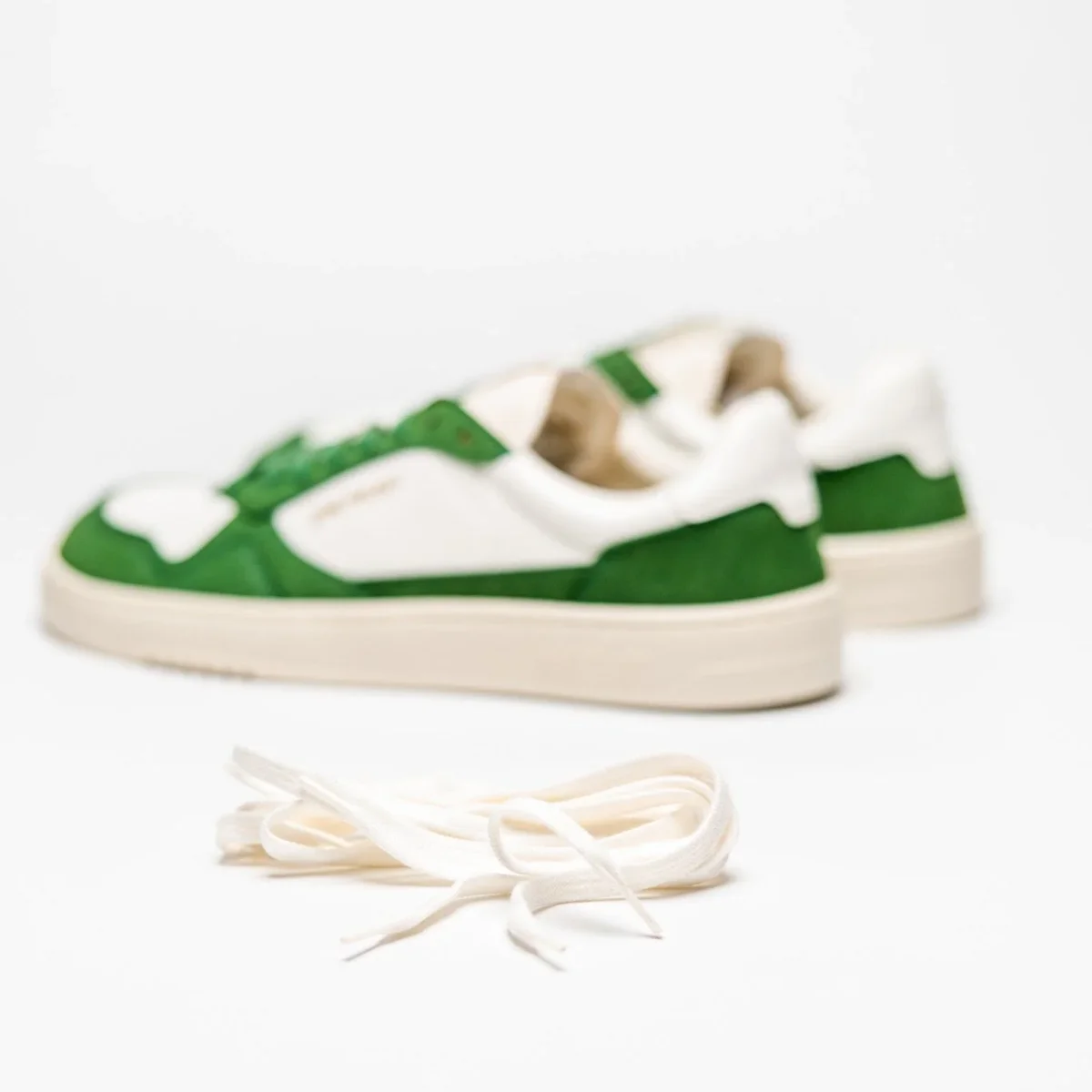 Project 080 Color - Imagen 5