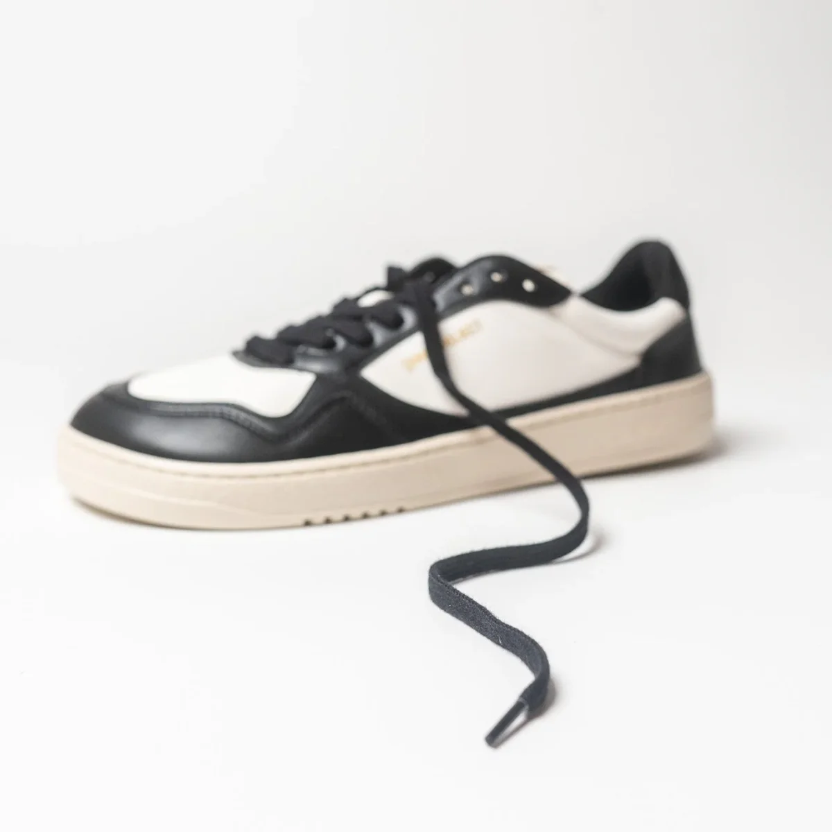 Project 080 Color - Imagen 7