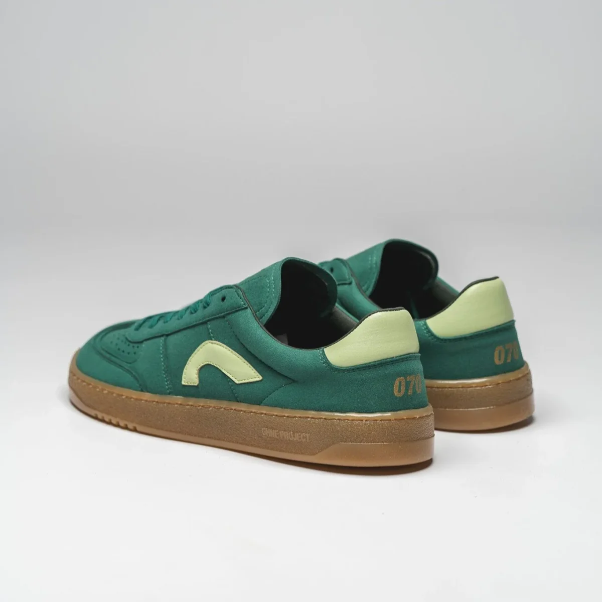 Project 070 - Imagen 7