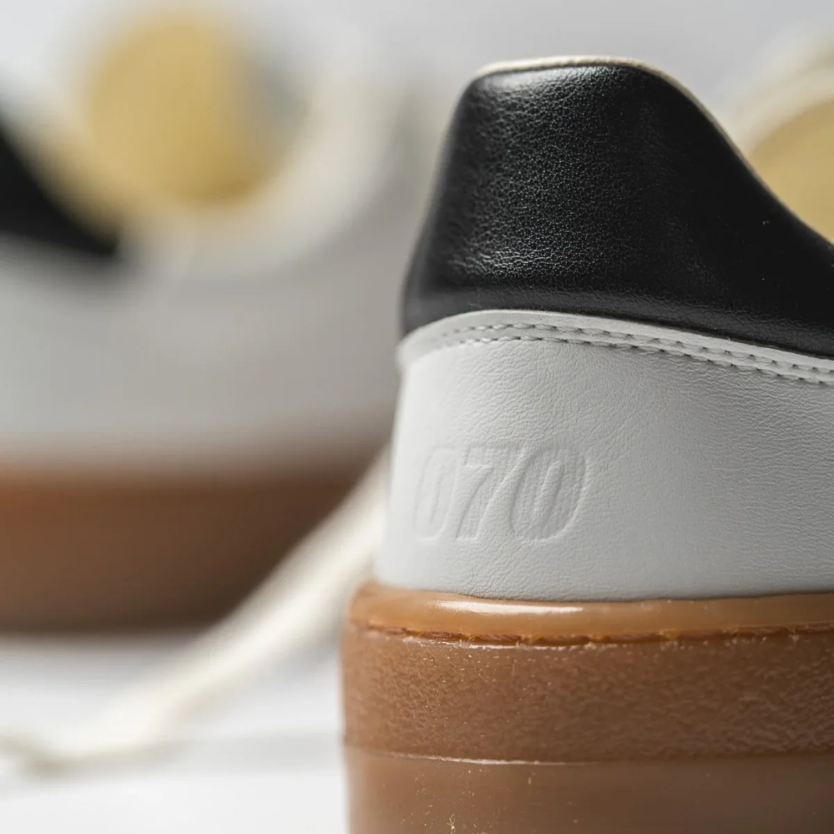 Project 070 - Imagen 4