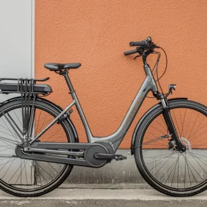 District+ 1 Lowstep 2023