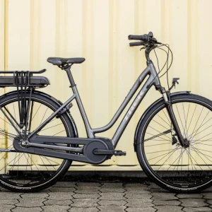 District+ 1 Midstep 2023