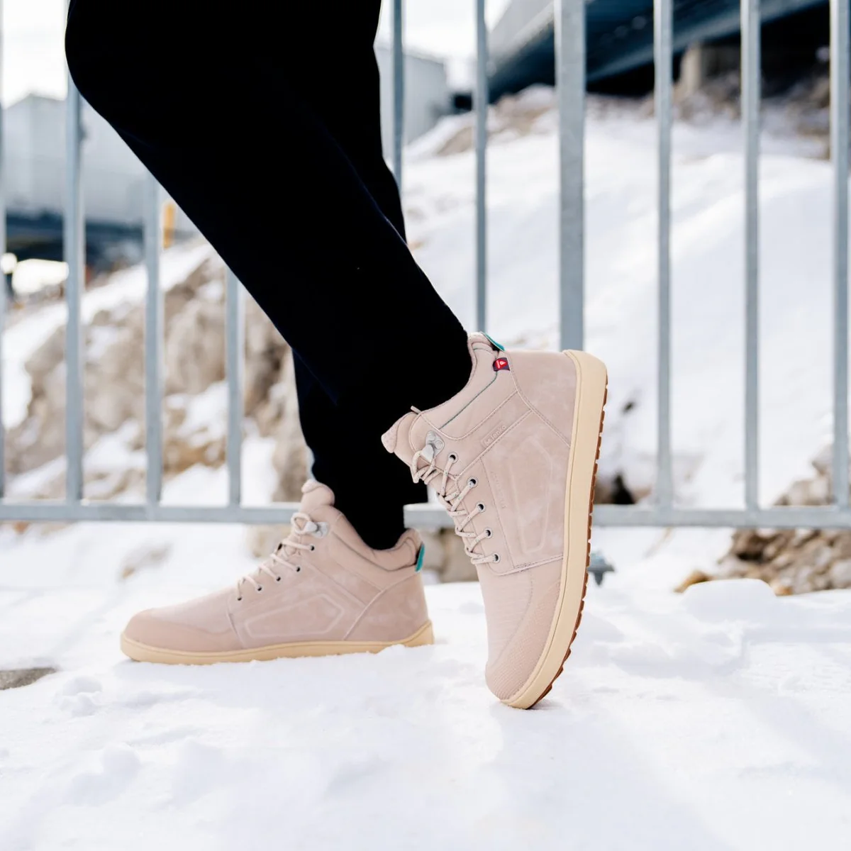 ArcticEdge - Imagen 5