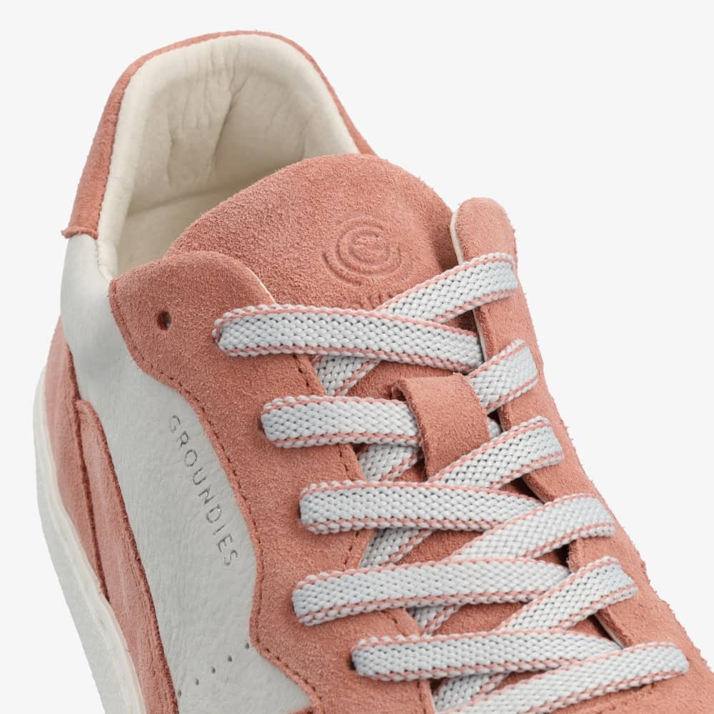 Nova Special - Imagen 6