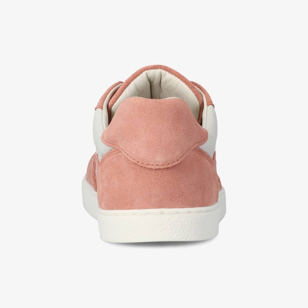 Nova Special - Imagen 7