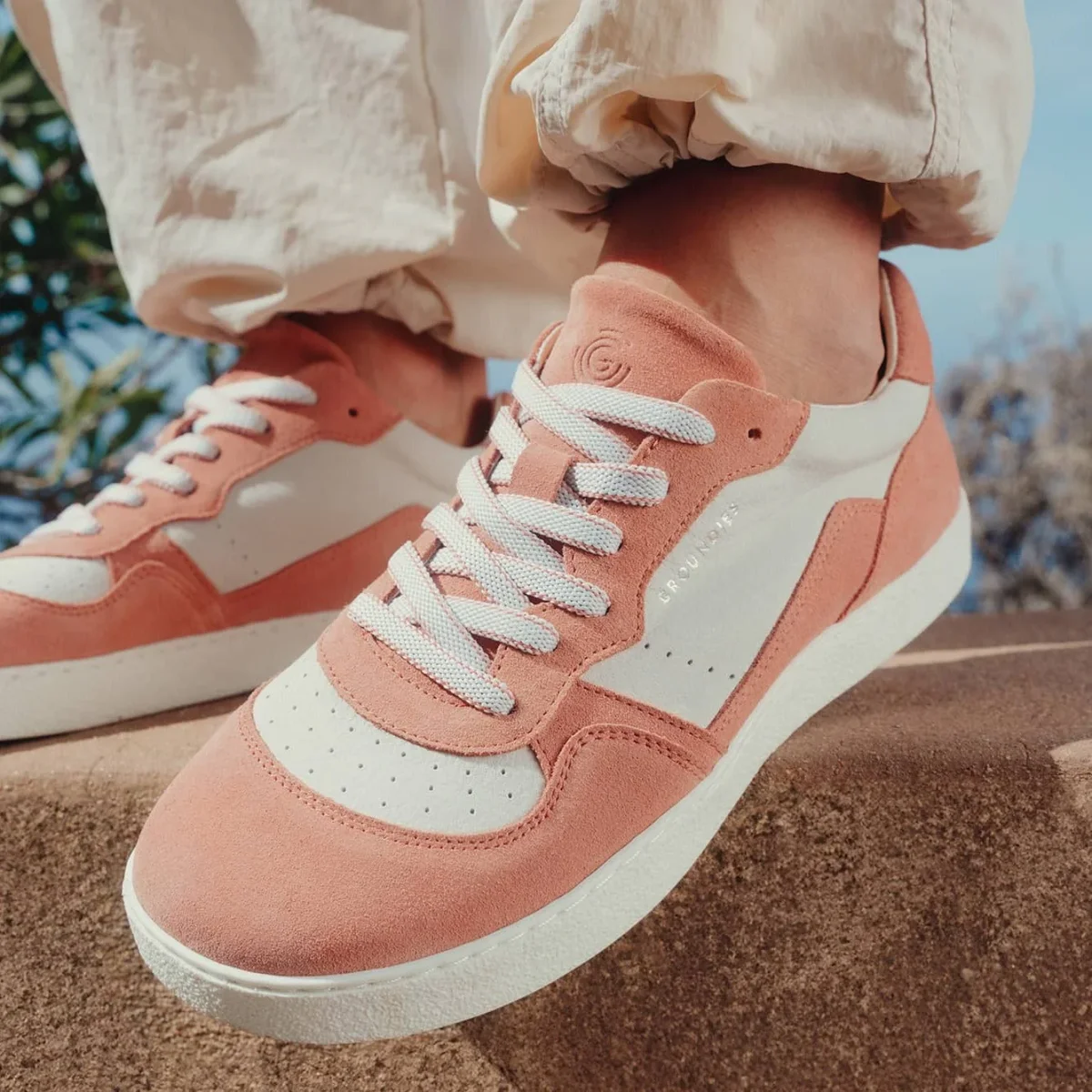 Nova Special - Imagen 3