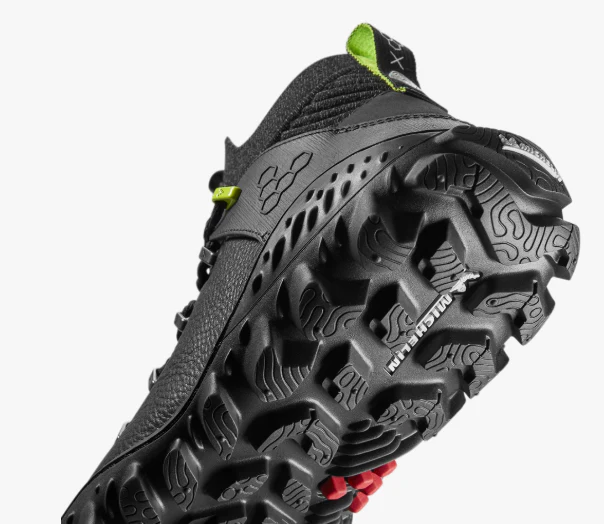 Magna Forest ESC - Imagen 3