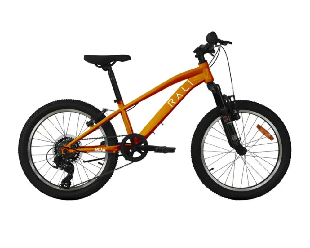 Rali PRO 1 20″2025 - Imagen 3