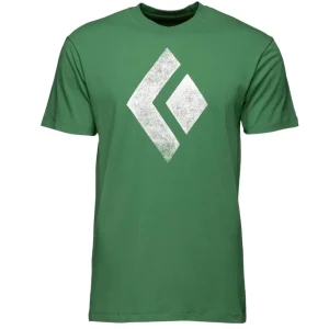 Playera Chalked Up Arbor Green - Black Diamond